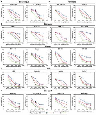 Survival model database of human digestive system cells exposed to electroporation pulses: An in vitro and in silico study